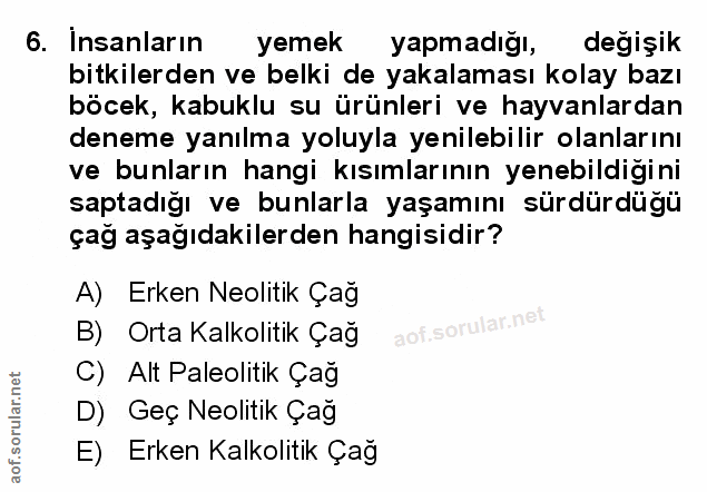 Soru 6