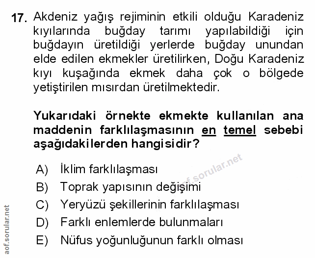 Soru 17