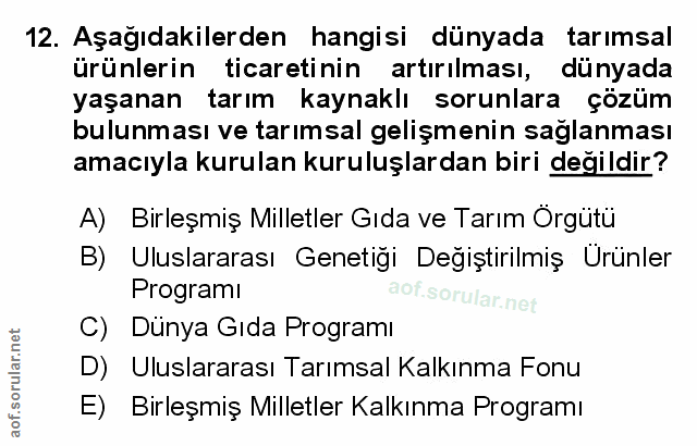Soru 12
