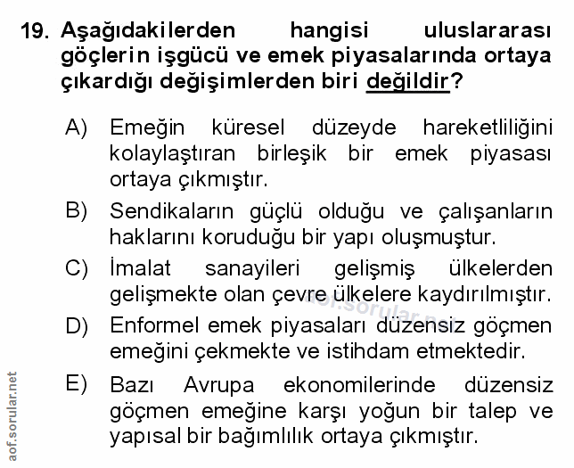 Soru 19