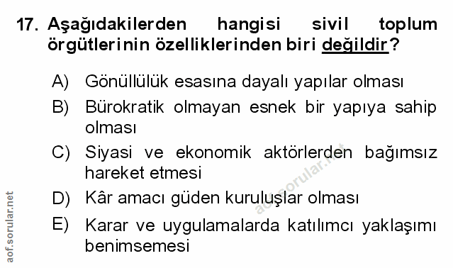 Soru 17