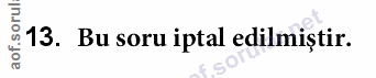 Soru 13