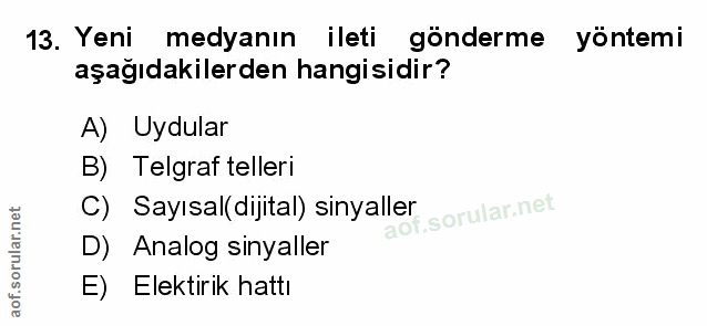Soru 13