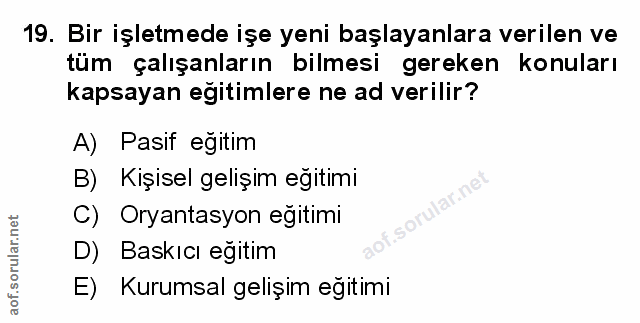 Soru 19