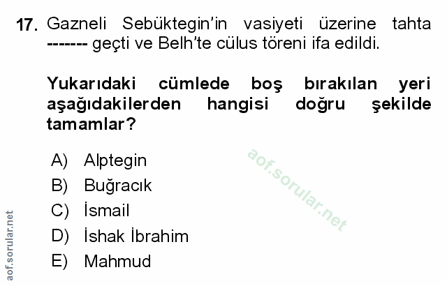 Soru 17