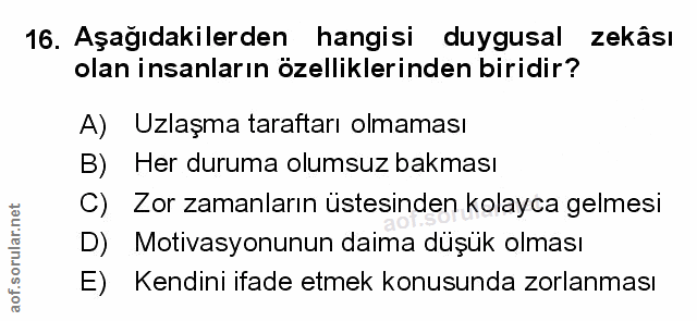 Soru 16