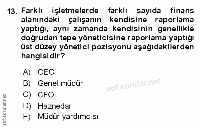 Soru 13