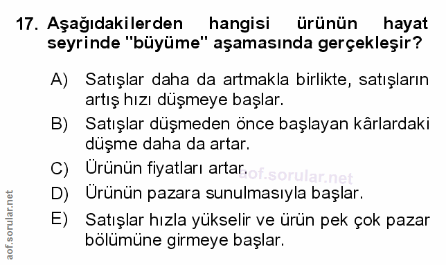 Soru 17