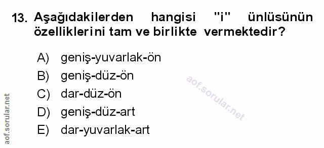 Soru 13