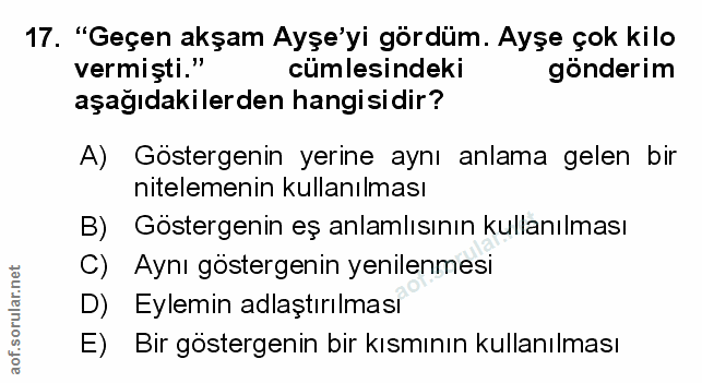 Soru 17