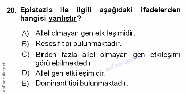 Soru 20