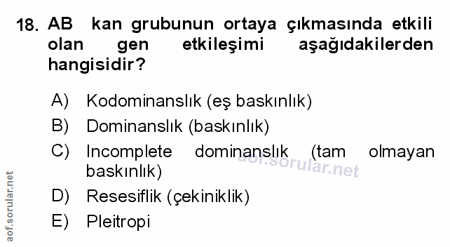 Soru 18