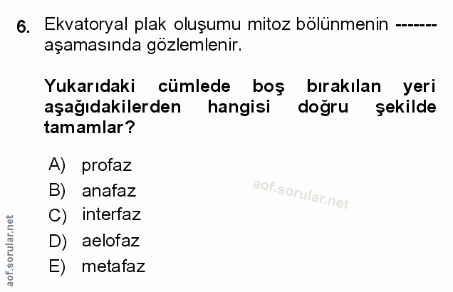 Soru 6