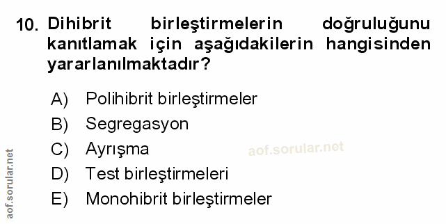 Soru 10