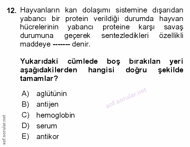 Soru 12