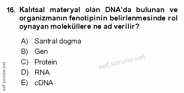 Soru 16