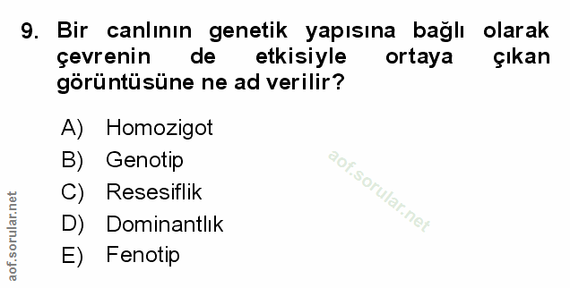 Soru 9