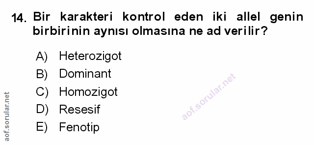 Soru 14