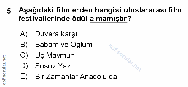 Soru 5