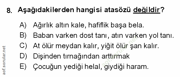 Soru 8