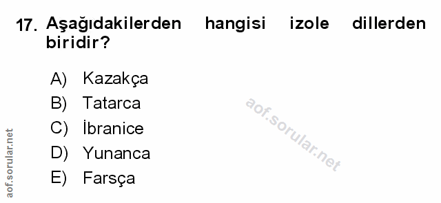 Soru 17