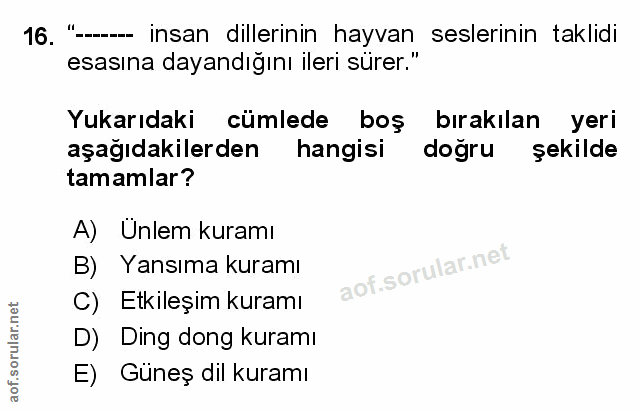 Soru 16