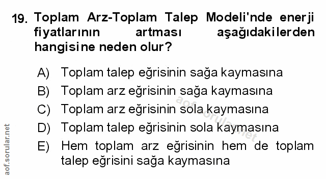Soru 19