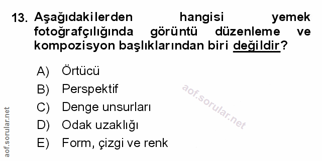 Soru 13