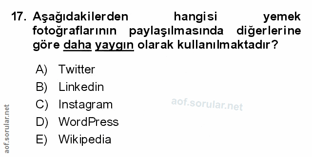 Soru 17
