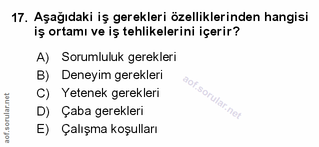 Soru 17