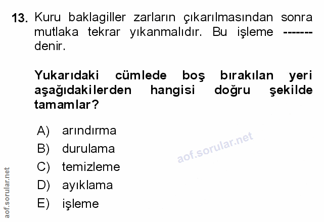 Soru 13