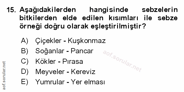 Soru 15