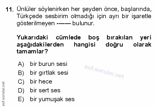 Soru 11