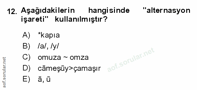 Soru 12