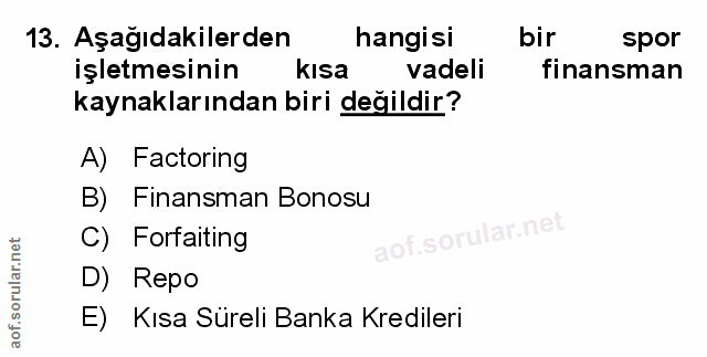 Soru 13