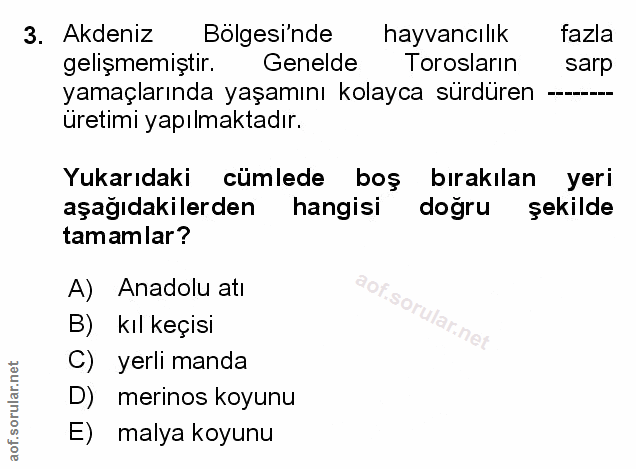 Soru 3