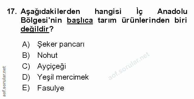 Soru 17