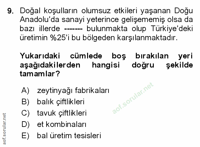 Soru 9