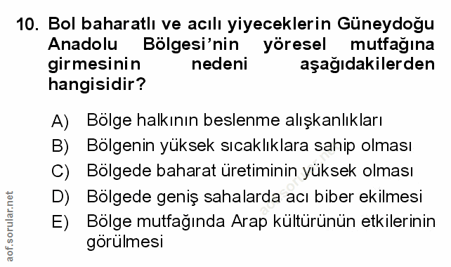 Soru 10