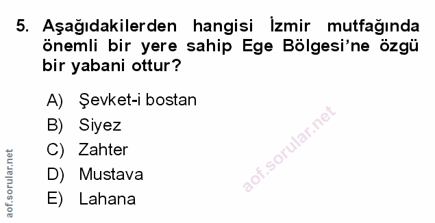 Soru 5