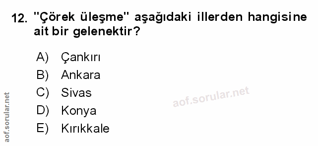 Soru 12