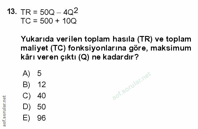 Soru 13