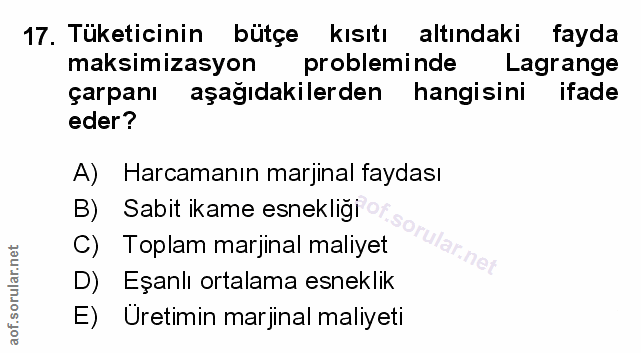 Soru 17