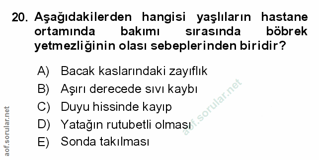 Soru 20