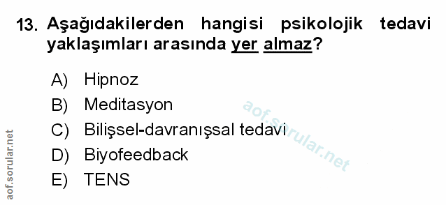 Soru 13