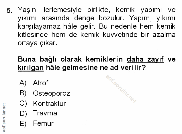 Soru 5