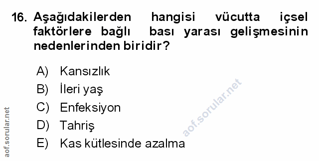 Soru 16