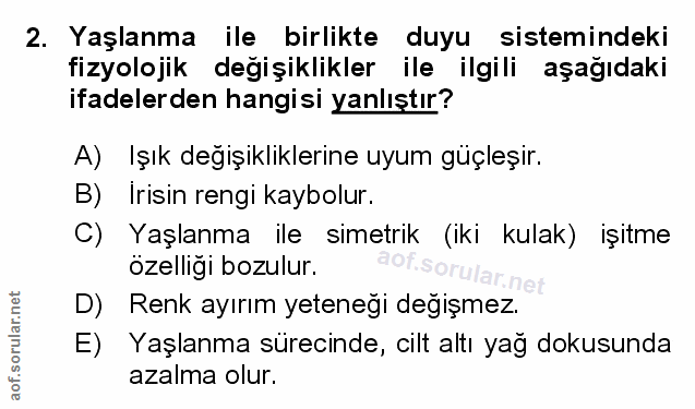 Soru 2