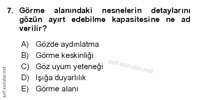 Soru 7