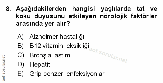 Soru 8
